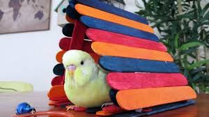 If your cockatiel is anything like mine he loves to chew on anything he can get his sharp little beak on. How To Make Budgie Toys Youtube Budgie Toys Diy Bird Toys Homemade Bird Toys