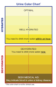 This Is How To Check Your Urine Color To Tell If Youre