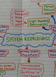 Pin Di Buku Catatan Matematika
