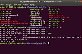 A query of how to check if tomcat is running. Server How Can I Configure Tomcat 9 Without Apt Get Installation Ask Ubuntu