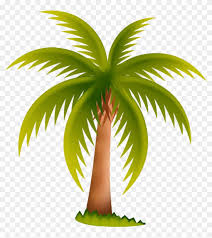 Regular watering and mulching should be carried for proper growth of seedlings. Arecaceae Date Palm Tree Clip Art Palm Oil Tree Clip Art Hd Png Download 1024x1024 277812 Pngfind
