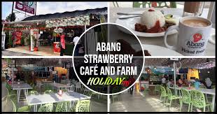 Nasi lemak is a popular rice dish which can be served all day long. Abang Strawberry Cafe And Farm Cameron Highlands Online