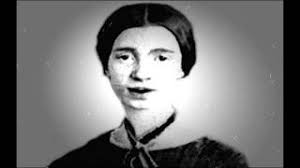 Emily Dickinson "I had no time to Hate" Poem animation