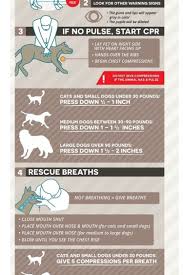 Pin On Nursing School Study Tips Nclex