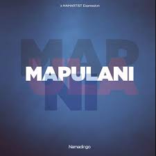 Download Patience Namadingo Mapulani Mp3