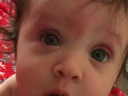 Fundraiser for Steven Strasma by Debbie Clanton : Carleen Strasma Fund