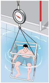 11.7 archimedes' principle texas gateway