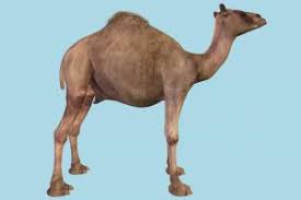 Show all free for sale | sort best match popular latest. Free Arabic 3d Models Download