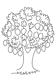 Mango coloring sheets that we provide you can use for coloring activities with your child. Parentune Free Printable Mango Tree Coloring Picture Assignment Sheets Pictures For Child