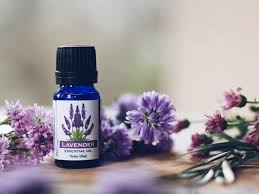 Lavender oil has been used for years and scientist found this oil has lots of benefit for our hair and skin. How To Use Lavender Essential Oil Uses And Benefits