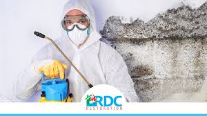 We provide mold inspection and testing services an area with a 100 mile radius around memphis, tn, including germantown, collierville, lakeland, arlington, bartlett, millington, olive branch ms, piperton, and more. Mold Testing Company Berkeley Heights Nj Rdc Restoration
