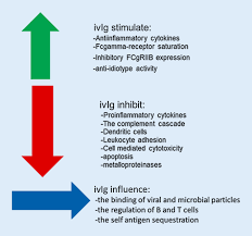 Myocarditis usually manifests in an otherwise healthy person and can result in rapidly progressive (and often fatal) heart failure and arrhythmia. Inflammatory Dilated Cardiomyopathy Springerlink