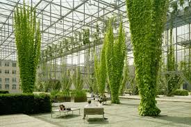 The Competition For Mfo Park Named After The Maschinenfabrik Oerlikon Machine Factory Oerlikon Was The Sec Landschaftsdesign Grune Fassade Wustenlandschaft