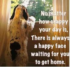 Maren On Twitter Baby Dogs Dog Quotes I Love Dogs