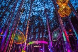 Gallery The Art Of Electric Forest Electric Forest Festival Forest Festival Electric Forest Festival