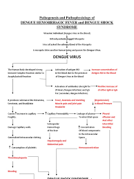 Risk factors for severe dengue. Pathogenesis Of Dengue