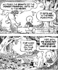 I Go Pogo Author Becky Benishek Pogo the possum attempts to run for president with help of his fellow animal friends. i go pogo author becky benishek