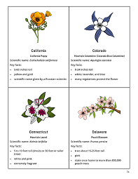 The evergreen shrub grows throughout the eastern us and is also called ivy bush, calico bush, sheep laurel, lambkill, clamoun, and spoonwood. U S State Study Resource Pack Bundle Use With Any U S Geo Study