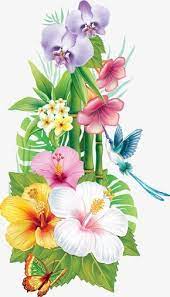 Flowers Hummingbird Hummingbird Clipart Flowers Beautiful Png Transparent Clipart Image And Psd File For Free Download Flower Drawing Hawaiian Flower Drawing Flower Painting