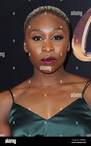 Absolutely fabulous premiere hi-res stock photography and images