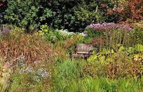 Pin Von Birgit Steinhage Auf Garten Inspirationen Garden Inspirations Garten Staudengarten Landkreis Rostock