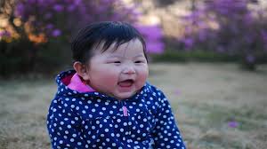Elaine hinzey is a fact checker, writer, researcher, and registered dietitian. Top 300 Popular Korean Boy Names Meanings Starting With A Z Ponfish