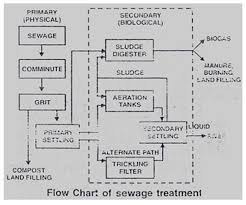 Learn Microbes In Sewage Treatment Meaning Concepts