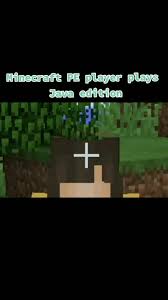 You can do whatever in the minecraft game. Descubra Videos Populares Sobre Minecraft Java Player Tiktok