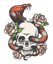 Skull With Snake And Roses Skull Snake Roses Snake Illustration Skull Rose Tattoos Snake Drawing