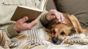 Fair Housing Act For Emotional Support Animals What Does It Cover Emotional Support Animal Senior Dog Dogs