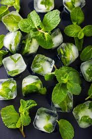 When it comes to watering the spearmint plant, keep its potting soil moist. Mint Planting Growing And Harvesting Mint Plants The Old Farmer S Almanac