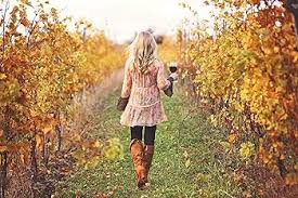 Meals from the Mitten: Celebrating the Seasons in Michigan: Gina Ferwerda:  9780996944175: Amazon.com: Books