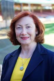 Election Guide: Meet the Candidates for North Sydney