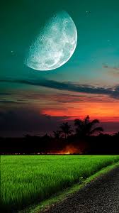 Free Download The Moon And Sky Grass Wallpaper Beaty Your Iphone Planet Fiel In 2020 Beautiful Moon Images Beautiful Photos Of Nature Background Images Wallpapers