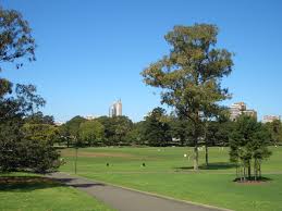 Materi lengkap teks eksplanasi : The Domain Sydney Wikipedia Bahasa Melayu Ensiklopedia Bebas