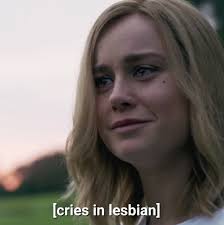 Crise In Lesbian Meme Faces Captain Marvel Carol Danvers Marvel Memes