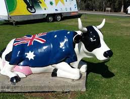 The border collie calls vanessa and pete o'keefe's three hectare kialla property home and spends his time running laps and playing with dorper sheep. About Moooving Art Visit Shepparton And Surrounds Discover Many Great Things