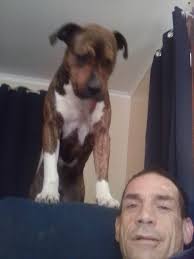 Where is everybody at Nowra?