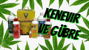Kenevir Ve Gubre Yesil Oda