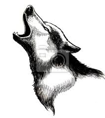 Weitere ideen zu heulender wolf, wolf zeichnung und wolf. Heulender Wolf Leinwandbilder Bilder Geschrei Wolf Schwarz Weiss Myloview De