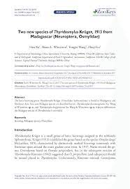 Йохан «bigdaddyn0tail» сундстейн мартин «saksa» саздов себастьян «ceb» дебс топиас «topson» таавитсайнен анатан «ana» фам. Pdf Two New Species Of Thyridosmylus Kruger 1913 From Madagascar Neuroptera Osmylidae