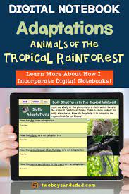 A Google Slides Research Project Using Digital Notebooks Research Projects Digital Notebooks Science Lessons