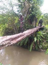Hal itu diungkapkan dalam laporan tahunan mengenai situasi lingkungan di kalimantan yang dipublikasikan wwf indonesia dan malaysia. Cegah Penebangan Liar Satgas Pamtas Yonif R 300 Patroli Hutan Di Keerom Tni Angkatan Darat