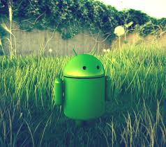 Here you can find the best android logo wallpapers uploaded by our. Android Green Logo Wallpaper