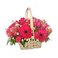 Recipients very happy with their plant. Flower Delivery Usa Send Flowers Same Day By Florists