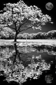We did not find results for: Pin By Kylee Roskom On Stuff White Photography Black And White Photography Art Photography