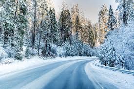 Snowy Road In Calaveras Big Trees State Park Photograph By Steven Jones If you like (or are interested in) sequoia national park, but are not a fan of the crowds, you'll love calaveras big trees. snowy road in calaveras big trees state park by steven jones
