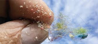 Microplastics and human health | Science