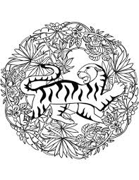Disegno Di Mandala Tigre Da Colorare Disegni Da Colorare E