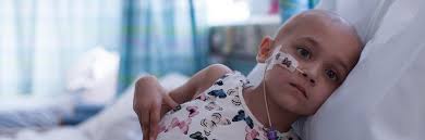 Best animal charity to donate to: Make A Donation Cancer Donation Children With Cancer Uk